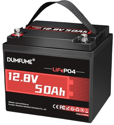 Dumfume Kit di 2 Batterie LiFePO4 12V 50Ah (640Wh) - BMS 50A, 4000-6000+ Cicli Profondi, Protezione Bassa Temperatura Batterie Litio Per Camper, Solare, Sistema di Accumulo di Energia