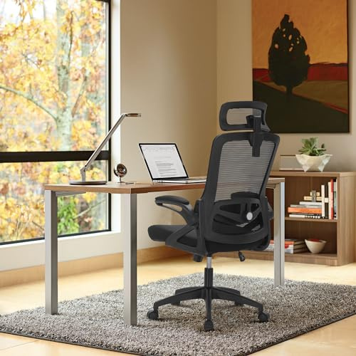 Alpha Home Ergonomischer Büro-Schreibtischstuhl, atmungsaktiver Computerstuhl mit Verstellbarer Lendenwirbelstütze, Kopfstütze und Klappbaren Armlehnen, Bequemer Chefsessel für Home Office