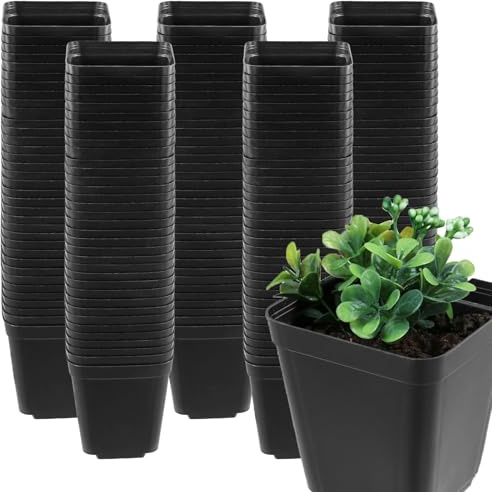 MUKSUET - 200 macetas de plástico de 5,5 cm, macetas cuadradas para vivero, macetas pequeñas para plantas, plantas suculentas, plántulas, trasplante