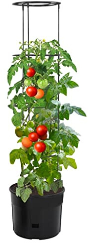 Genérico Macetero para Tomates Polipropileno Gris Antracita Ø39x150 cm,Casa y jardín,Jardín,Jardinería,Maceteros y jardineras-152210