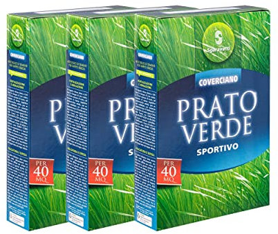 Set Semi Prato Resistenti per Terreno Sportivo Sementi da Giardino ad alta Germinabilità, Resistenti al Calpestio, per Tappeto Erboso, Denso e Regolare, 120 Mq