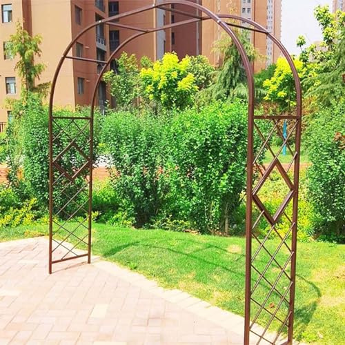 Arche de jardin en métal robuste pour rosiers grimpants et vignes – Pergola d'extérieur avec support tubulaire solide, idéale pour les allées et les entrées – Grande taille 240 cm, noir