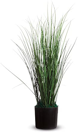 Paperflow Pianta ornamentale erba h55cm K700130 3660141290059