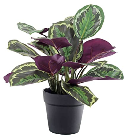 Blooming Artificial Plants Indoors in Pots, Faux Decorative Foliage, No Hassle, Easy Care, Perfect for Bringing Life to Indoor Spaces (Medallion Calathea) (Green) (40cm)