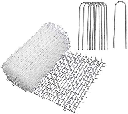 PestExpel® 2m Clear Anti-Cat Spikes Mat – Humane Animal Deterrent for Gardens, Fences & Furniture – Discreet Scat Mat for Dogs, Digging Cats & Pests – 200cm x 30cm, Cut-to-Size Plastic Prickle Strip