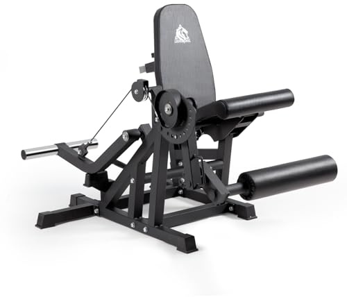 LIONSCOOL V4.0 Machine d'Extension et de Curl pour Jambes avec Banc Réglable, Capacité 360 kg, Système à Câble et Disques 2 pouces pour Extension Assise et Curl Allongé en Home Gym
