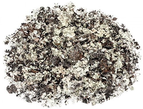 NaDeco Schwarzes Moos Natur, verpackt im Beutel mit 225g | Parmelia sulcata | Black Moss | Dekomoos | Bastelmoos | Naturmoos für Terrarium Dekorationen | Moos zum Basteln