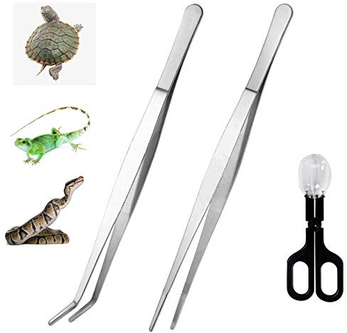 alfyng 15 Inch Reptile Feeding Tongs Long Tweezers Cricket Clamp Bug Scooper, 3 Pcs Stainless Steel Straight and Curved Tweezers Feeder Tool for Snake Lizard Gecko Spider Bearded Dragon