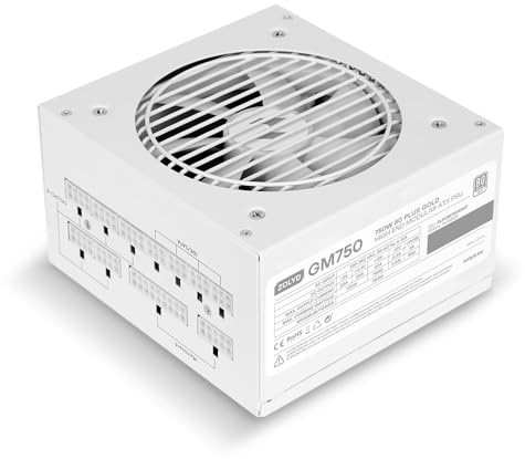 Zolyd GM750 - Fuente Alimentación Modular PC ATX 3.1 850W, 80+ Gold, 89% Eficiencia, Sistema Digital APFC, Ventilador FDB 120mm, Fanless Mode, Condensadores japoneses, PCI Express 5.0 - Blanco
