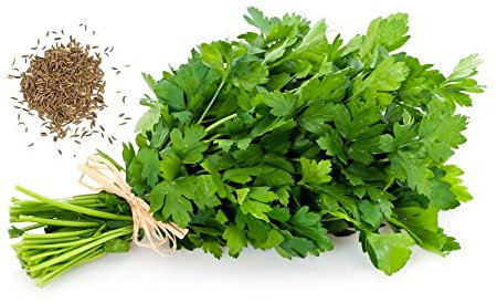 Persil Commun 2 - Sachet de 5 grammes de graines Herbes aromatique vert