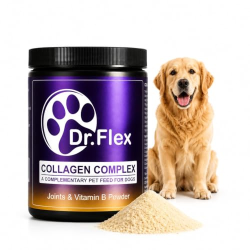 Dr. Flex Kollagen för Hundar + B-Vitamin Komplex – 300 g Pulver med 4500 mg Nötkollagen & 500 mg Hydrolyserat Marint Kollagen Typ I, II, III – Vitamin B12, B1, B2, B3, B5, B9