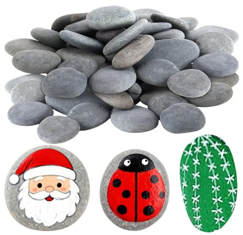 TAICHEUT 30 PCS Large Flat Painting Pebbles, 2-3 Inch Smooth River Rocks for DIY Art Projects, Stone Painting, Garden Decoration