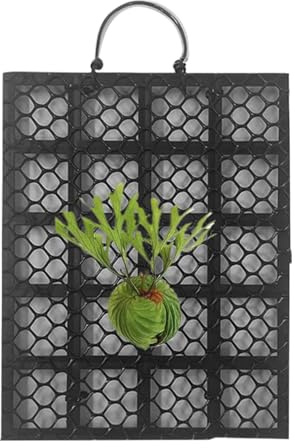 Kit Montaje Helecho Cuerno De Alce - Marco Mural Expositor De Plantas Trepadoras | Soporte Colgante Vegetal | Macetero Vertical Suspendido, para Orquídeas Platycerium – Jardín Y Hogar, Interior