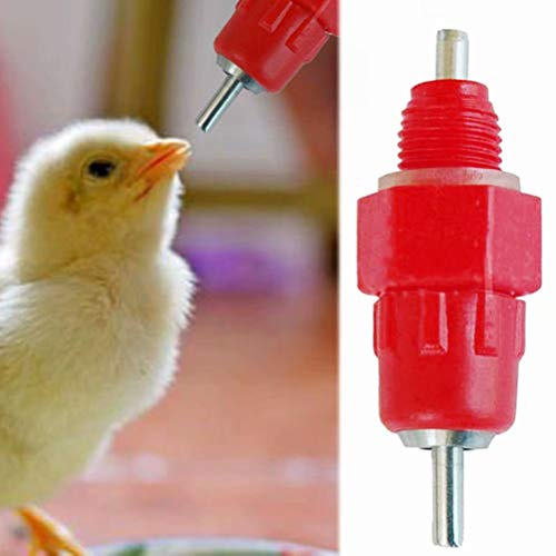 5 Pcs Eau Tetine Poulet Alimentateur Fournitures de Volaille Poule Vis dans le style