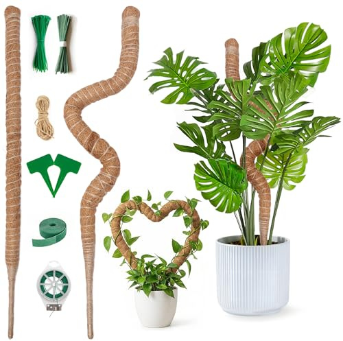 160 cm e 120 cm Monstera, traliccio in fibra di cocco con accessori, asta di muschio per Monstera, supporto flessibile per piante rampicanti in fibra di cocco, per piante rampicanti Monstera, per
