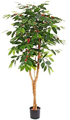Kunstpflanzen-discount.com konstgjort kaffeträd med 396 bönor och 480 blad höjd 180 cm – med kaffebönor och blommor