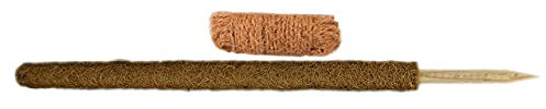 Novatool Kokosstab 60 cm und Kokosgarn 25 m I Befestigungsset natürliche Kokosfaser I Rankhilfe Monstera Mosstab