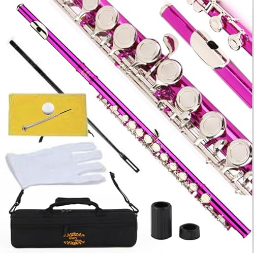 Glory geschlossen Loch C Querflöte mit Fall, Tuning Stab und Tuch, gelenkfett und Handschuhe rose