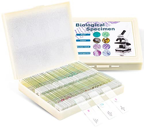 USCAMEL 100 Mikroskop Objektträger, 100 vorbereitete Mikroskop-Objektträger mit Exemplaren für Kinder und Erwachsene