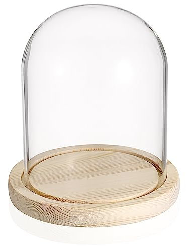 TOLIDA Natürlichen Glaskuppel mit Vintage-Holzsockel Robust Langlebig Dekorative Glasglocke Tischplatte Display für Lampe Kerze Rose Dekoration und Antiquität zu Weihnachten Geburtstage Valentinstag