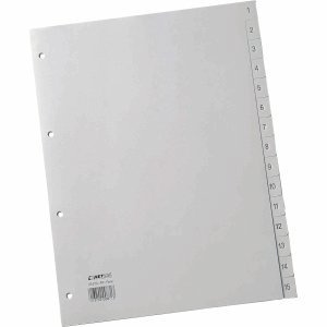 Rexel Divisori Numeri Registro in Pellicola di Polipropilene per A4, 226 x 297 mm, 15 Fogli per un Totale di, 1 pz, Grigio