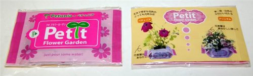 Petit Flower Garden - Petunia