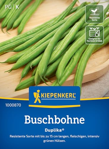 Kiepenkerl Buschbohnensamen Duplika® 1000870, Gemüsesaat | Inhalt für 8-10 laufende Meter