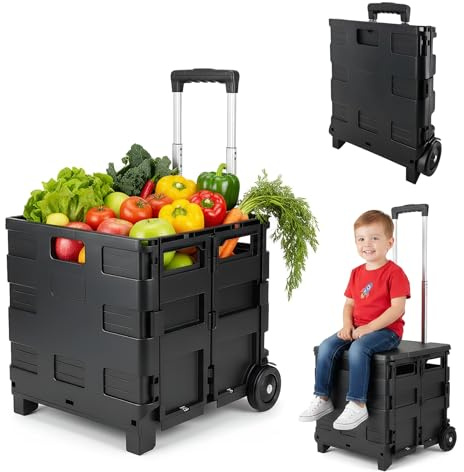 Carro Compra Plegable 45L con Tapa y Asa Telescópica – Carro Plegable con Ruedas para Supermercado, Camping y Mercado – Carrito de la Compra con Capacidad 25 kg