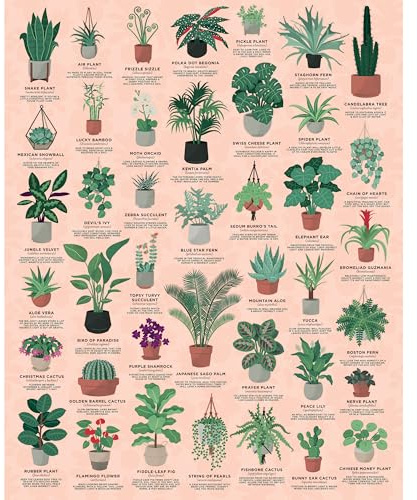 Ridley's JIG058 House of Plants Jigsaw Puzzle, Green