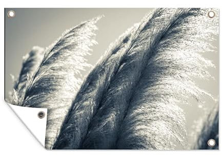 MuchoWow Poster exterieur Herbe de la pampa - Noir - Blanc - Nature Decoration murale 120x80 cm Résistant aux intempéries/soleil