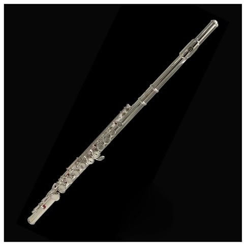Musikinstrument Flöte 16 Löcher C-Taste professionelle Flöte