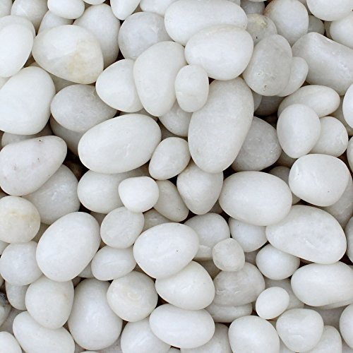 Guijarros blancos brillantes y decorativos para jarrones, de ITOS365, 1 kg