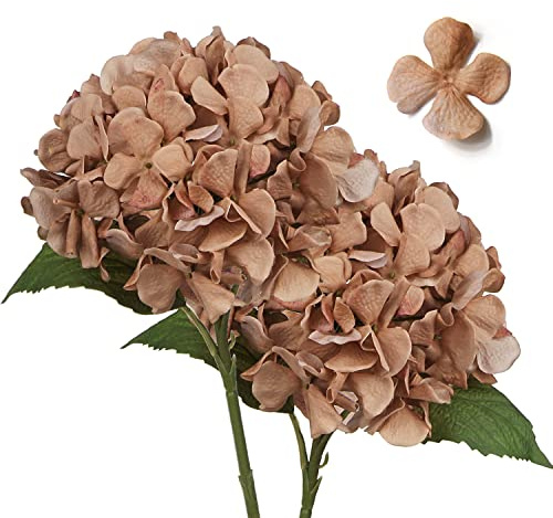 Hollyone 2 pcs Brown Hydrangea Artificial Flowers with 16.9'' Long Stem, Fake Flowers Dried Flowers, Artificial Hydrangea Plants for Kitchen, Home Decor, Party, Wedding Decorations