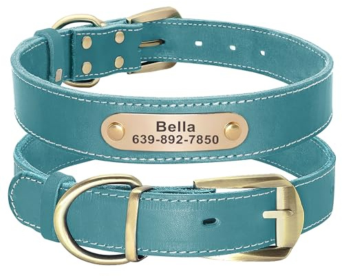 Didog Hundehalsband aus echtem Leder mit graviertem Namensschild, personalisierbar, weiches Leder, mit individuellem ID-Tag, Braun/Grün/Rot für mittelgroße und große Hunde (L, Blau)
