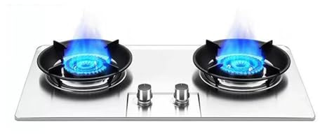 Cuisinière À Gaz 2 Feux, 5,2 KW, Plaque De Cuisson En Acier Inoxydable, Grille En Fonte Et Verre Trempé, For Faire Bouillir, Frire Et Cuire(LPG)