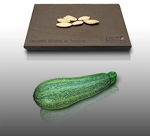 5 graines à semer - Le Grenier d'Abondance - COURGETTE Grisette de Provence - Curcubita Pepo