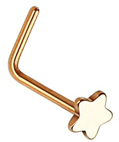 beyoutifulthings Nasen-Piercing Verschiedene Desings Nasen-Ring Nasen-Stecker L-Form Chirurgenstahl Gold Roségold Silber Stab 0,8/6mm