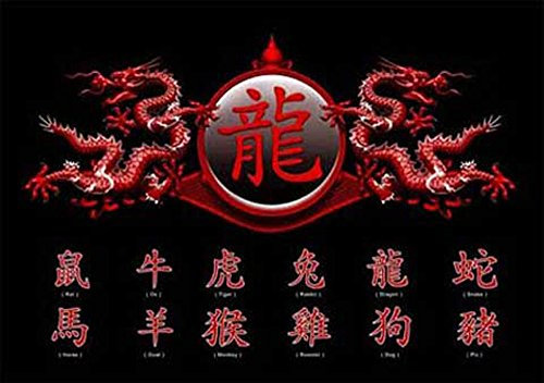 empireposter Chinese Writing - Zodiac, Dragon - Poster Chinesische Schriftzeichen - Grösse 91,5x61 cm + 2 St Posterleisten Alu 93,5 cm