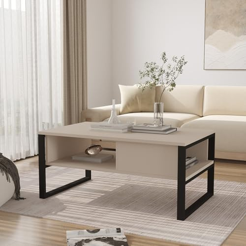 [en.casa] Couchtisch Laukaa Wohnzimmertisch Tischplatte rechteckig Beistelltisch 100 x 60 x 45 cm Sofatisch Stauraum Graubeige