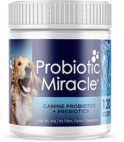 Probiotic Miracle® : Canine Probiotics + Prebiotics : Unflavoured : Concentrated Powder