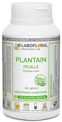 Plantain Labofloral 300 gélules dosées à 240 mg - Complément alimentaire - Respiration, allergies - Fabriqué en France