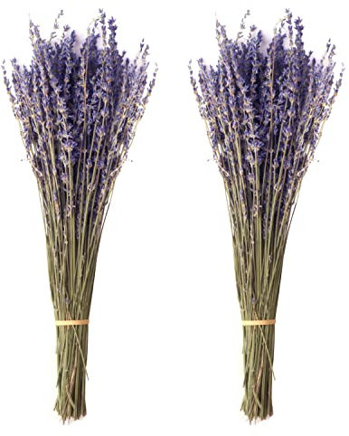 Jangostor 100 g Mazzi di Lavanda Secca, 43 cm Fiori secchi naturali per la casa, il soggiorno, il matrimonio, la fotografia, lo sfondo fai da te e l'artigianato