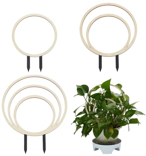 FINGERINSPIRE 3Pcs Treillis Circulaire pour Plantes D'Intérieur 3 Tailles en Bois Blanc Floral pour Plantes Grimpantes D'Intérieur Support pour Plant de Jardin pour Lierre Plant D'Extérieur en Pot