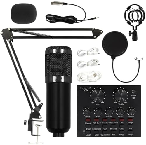 Set di microfoni di registrazione - Apparecchiature audio in studio, kit audio in streaming | Pacchetto filtro acustico stand -stand -regolabile, performance di trasmissione podcast di configurazione