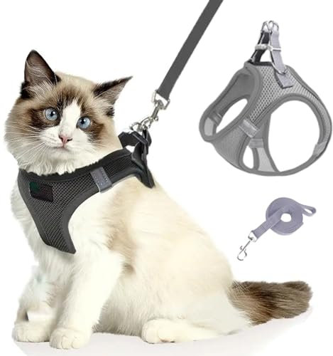 Katzengeschirr, Katzenleine Mit Geschirr füR Katzen, Atmungsaktive Bequemes Anti Ausbruch Geschirr für Katzen Mit Reflektierenden Streifen (grau,XS)