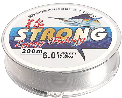 Lanjue 200 M Fishing Line, 0.4mm Nylon Fishing Wire 6.0 Spool Clear Monofilament Line Invisible Fishing Wire for Fishing Hanging Crafts