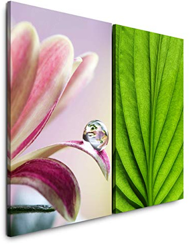 Paul Sinus Art Wandbild 2 teilig je 60x90cm Grünes Blatt Blattstruktur Blume Wasserperle Erfrischend Fotokunst Makrofotografie