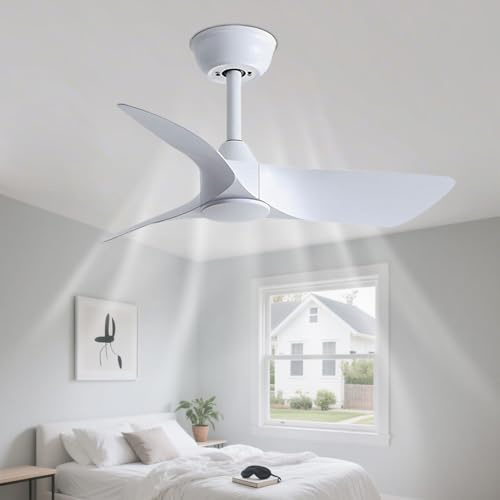 IBalody Petit ventilateur de plafond sans lumière, intérieur/extérieur, silencieux, 30 pouces, télécommande, 6 vitesses, 3 pales, pour patios, salons, chambres