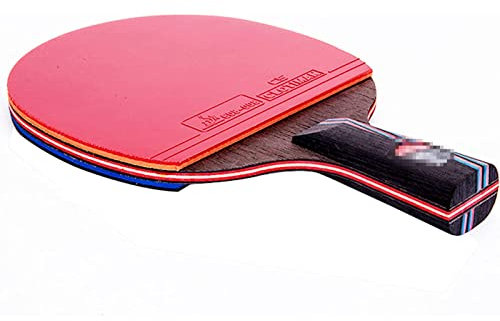 Ping-Pong-Schläger – Tischtennis-Schläger mit ergonomischem Griff. Profi-Tischtennisschläger mit Dual-Offensive-Gummi und robuster Tragetasche – meistern Sie Ihr Spiel und gewinnen Sie mehr Spiele