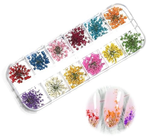 YUZNA Fleurs séchées pour Nail Art, 1 boîte, Autocollants pour Nail Art, Kit de fleurs séchées, Kit d'accessoires pour fleurs séchées, Stickers ongles fleurs et décoration ongle DIY (10 couleurs)